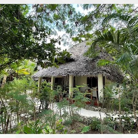 Bellevue Zanzibar Bed and Breakfast Bwejuu Εξωτερικό φωτογραφία