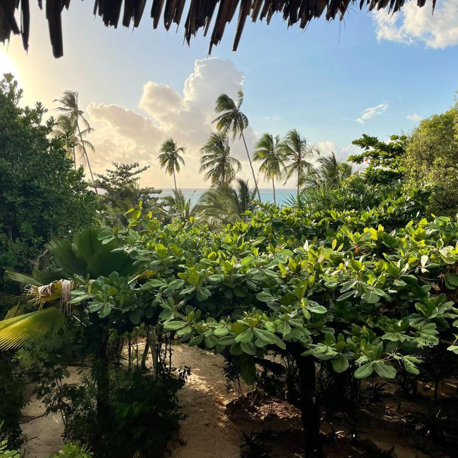 Bellevue Zanzibar Bed and Breakfast Bwejuu Εξωτερικό φωτογραφία
