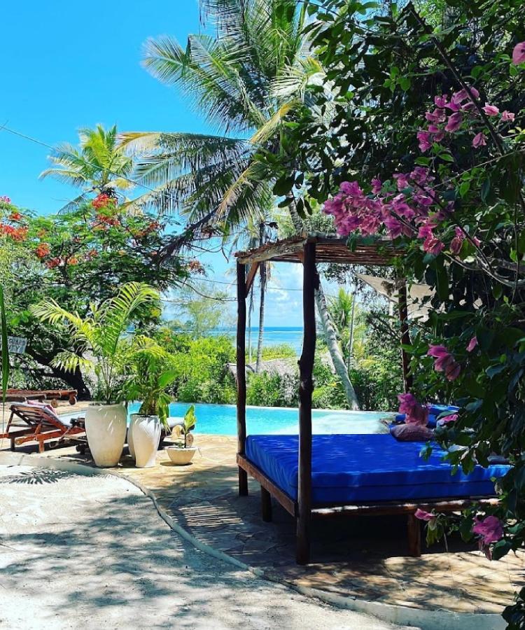 Bellevue Zanzibar Bed and Breakfast Bwejuu Εξωτερικό φωτογραφία
