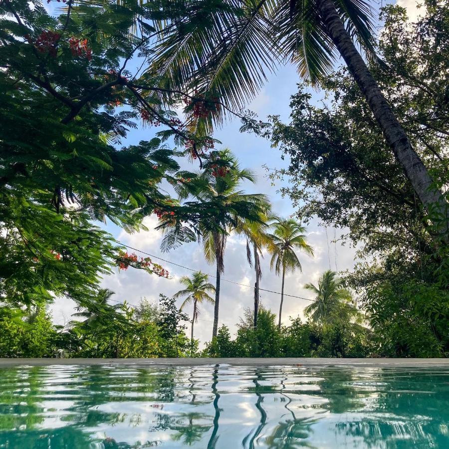 Bellevue Zanzibar Bed and Breakfast Bwejuu Εξωτερικό φωτογραφία