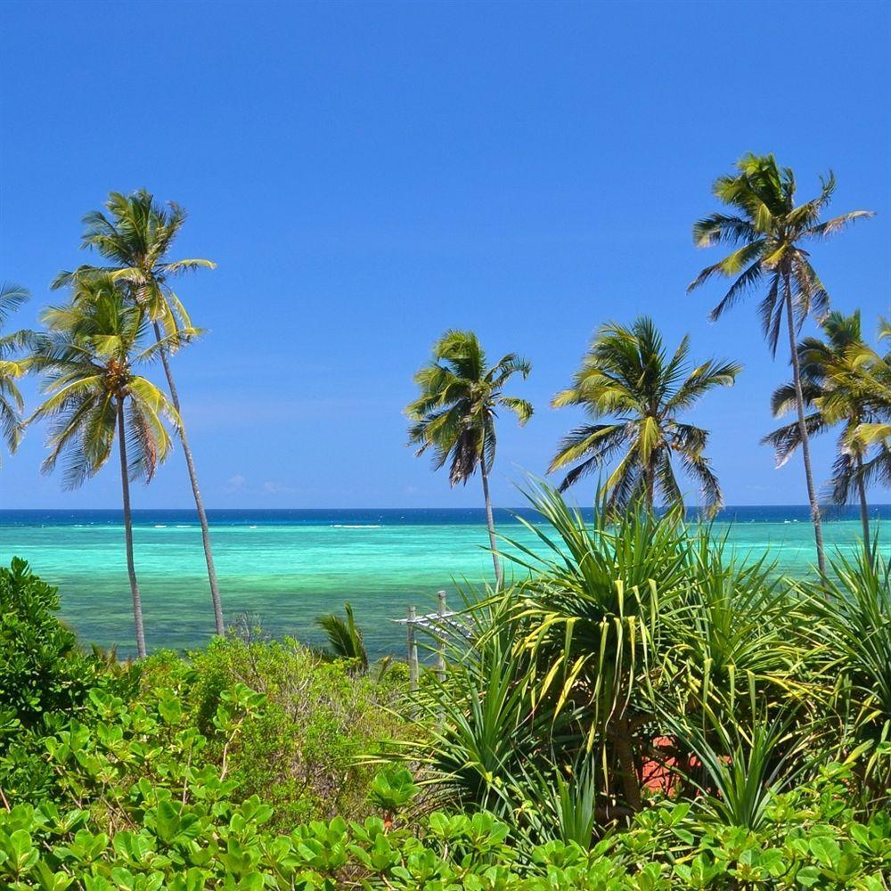 Bellevue Zanzibar Bed and Breakfast Bwejuu Εξωτερικό φωτογραφία