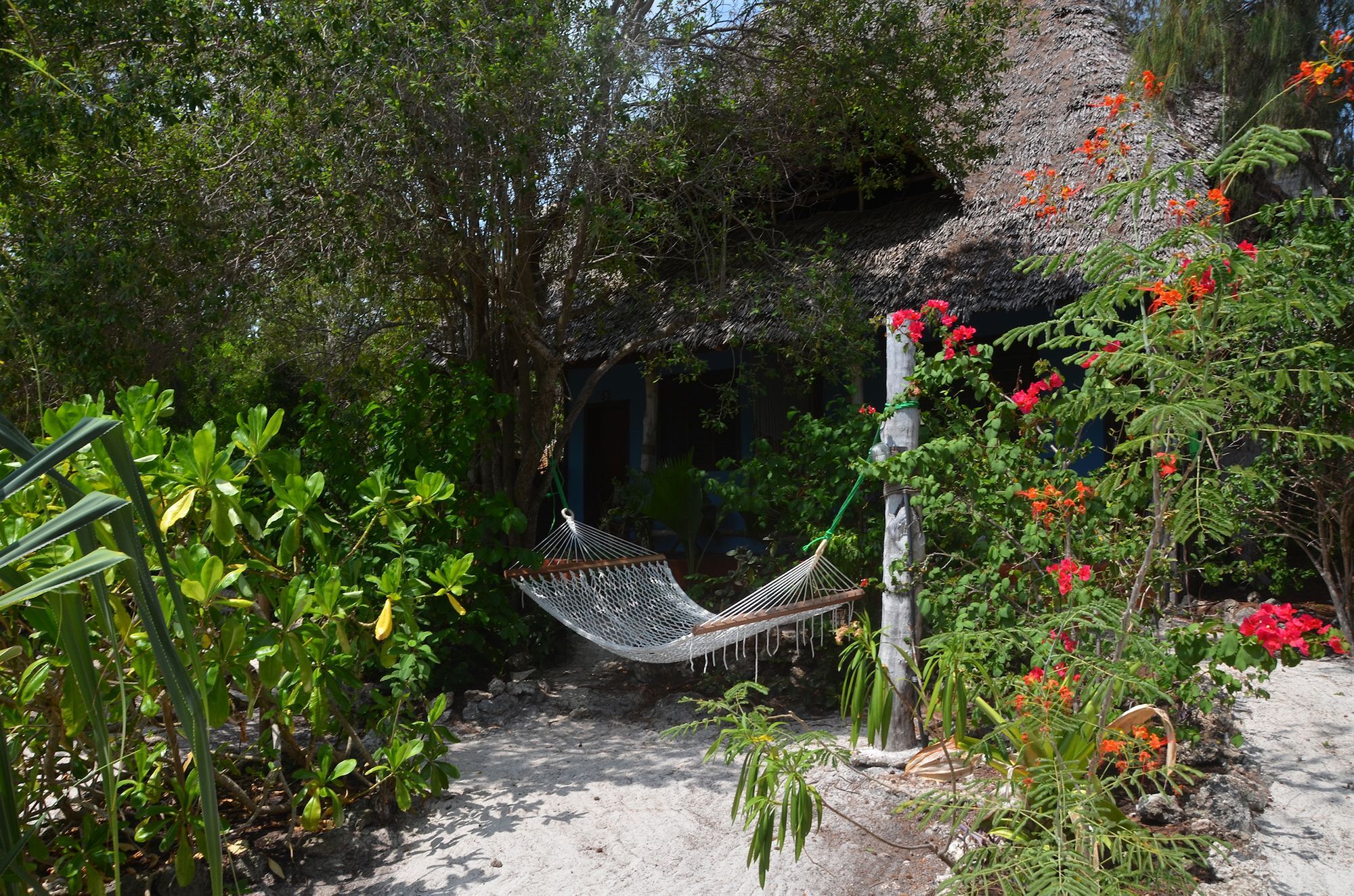 Bellevue Zanzibar Bed and Breakfast Bwejuu Εξωτερικό φωτογραφία